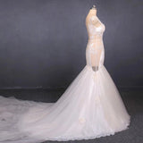 Charming Mermaid Tulle V-Neck Wedding Dress Sheer Back Long Bridal Dress W1150