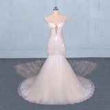 Charming Mermaid Tulle V-Neck Wedding Dress Sheer Back Long Bridal Dress W1150