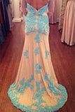 Long Sleeves Lace Sheath Long Prom Dresses Mother of Bride Dresses PM558