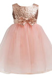 Little Girls Sequin Mesh Tulle Baby Dress Flower Girl Ball Gown Party Dress Prom FG1006