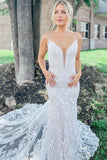 Gorgeous Mermaid V-neck Lace Wedding Dress PD1129