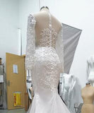 Long Sleeve Lace Wedding Dresses Mermaid Beads Lace Appliques Wedding Gowns PW476