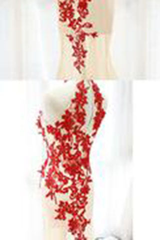 Fashion Champagne Tulle Formal Gown Red Lace Prom Dress
